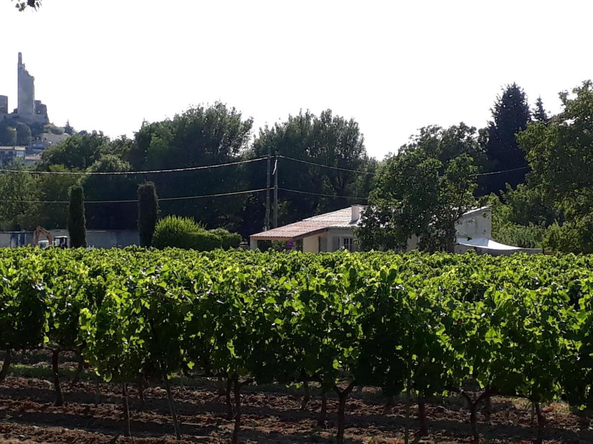 La Petite Maison Dans Les Vignes Chamaret المظهر الخارجي الصورة